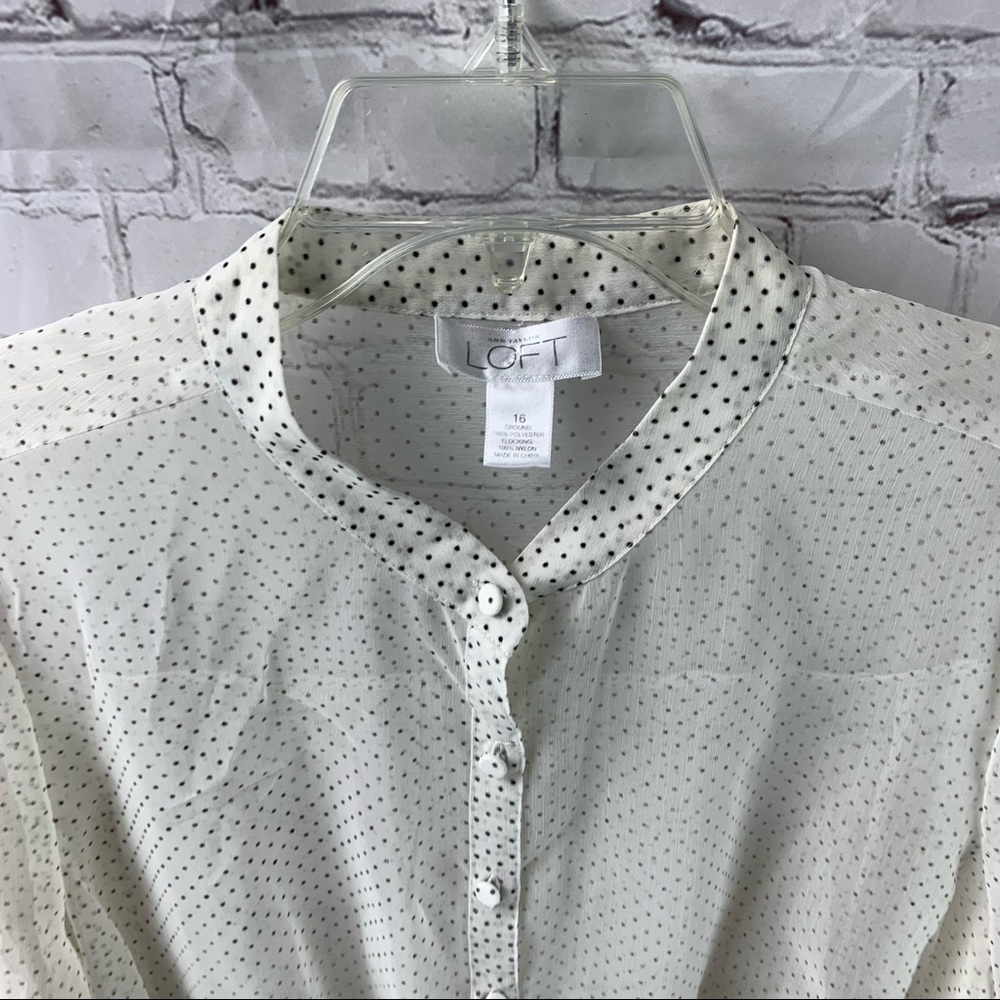 LOFT Sheer Polka Dot Blouse - Picture 5 of 5